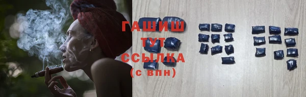хмурый Осинники