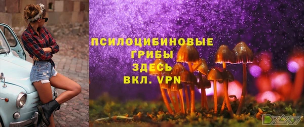 ГАЛЛЮЦИНОГЕННЫЕ ГРИБЫ Магадан