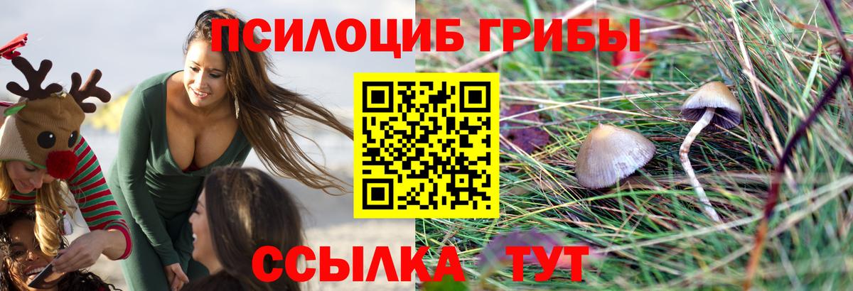 Псилоцибиновые грибы Psilocybe  Вход с VPN  купить наркотик  Златоуст  Галлюциногенные грибы прущие грибы 