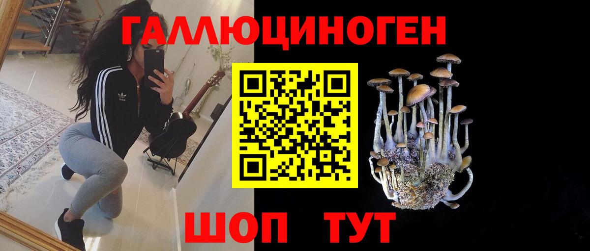 Псилоцибиновые грибы прущие грибы Златоуст